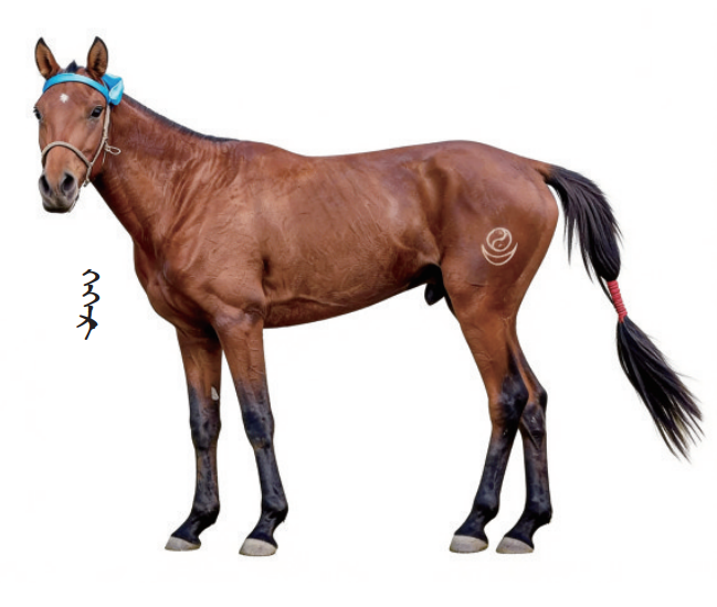 QQ截图20260209113522.png QQ截图20260209113522.png