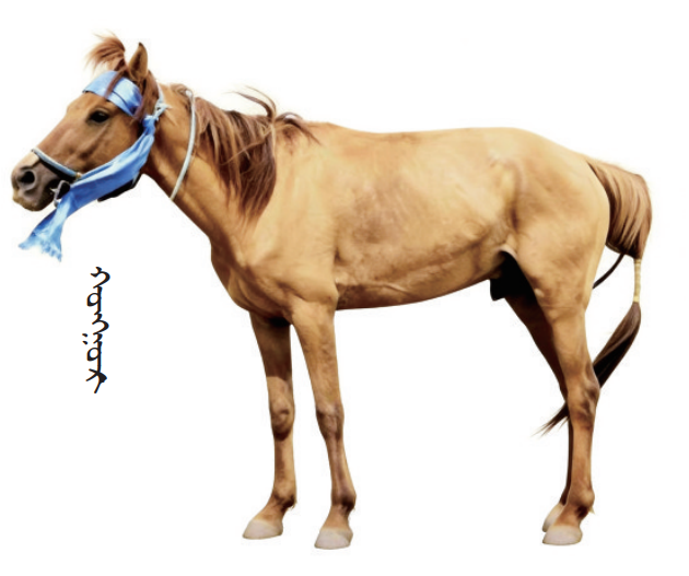 QQ截图20260211104718.png QQ截图20260211104718.png