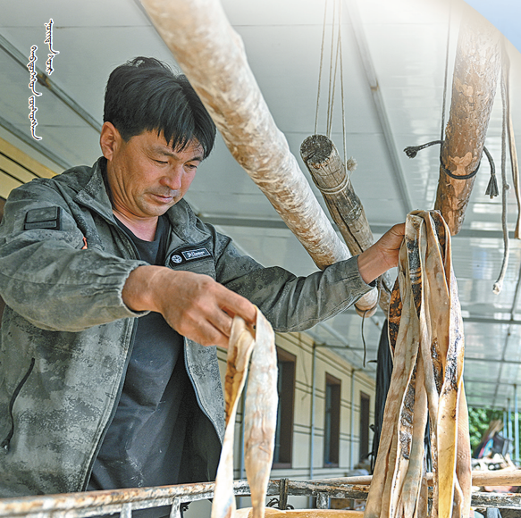 QQ20260211-113307.png QQ20260211-113307.png