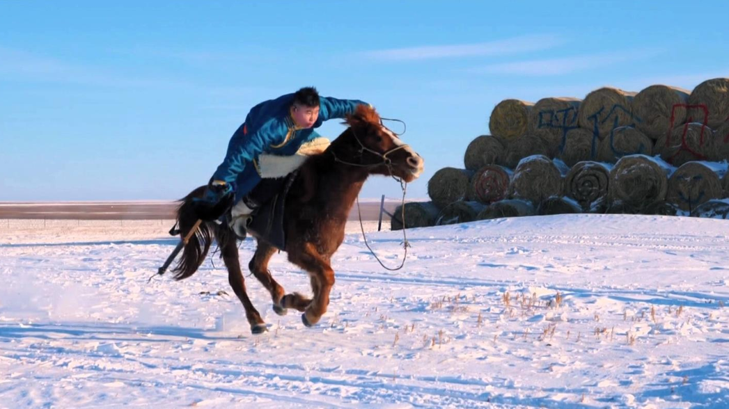 QQ截图20260219121114.png QQ截图20260219121114.png