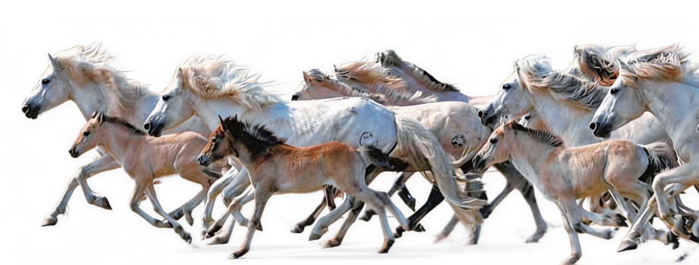 ed8776d4-db07-402e-8f96-2a0e3545e8aa.png ed8776d4-db07-402e-8f96-2a0e3545e8aa.png