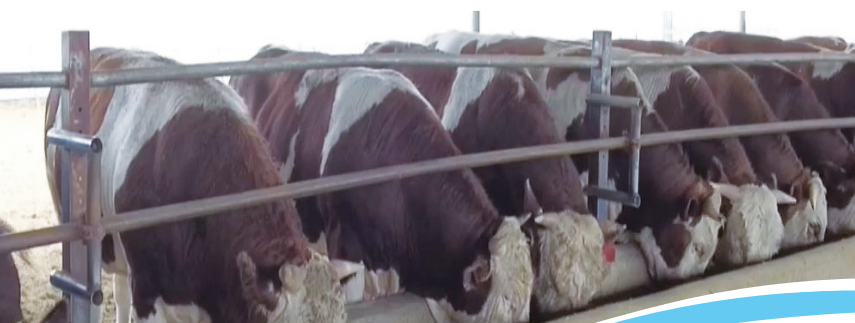 QQ20260227-102905.png QQ20260227-102905.png