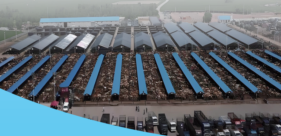 QQ20260227-102850.png QQ20260227-102850.png