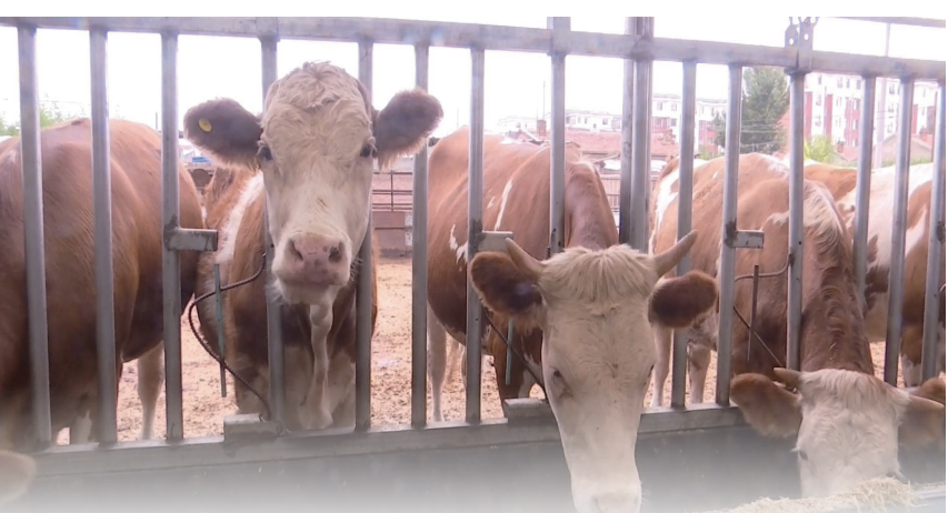 QQ20260227-105944.png QQ20260227-105944.png