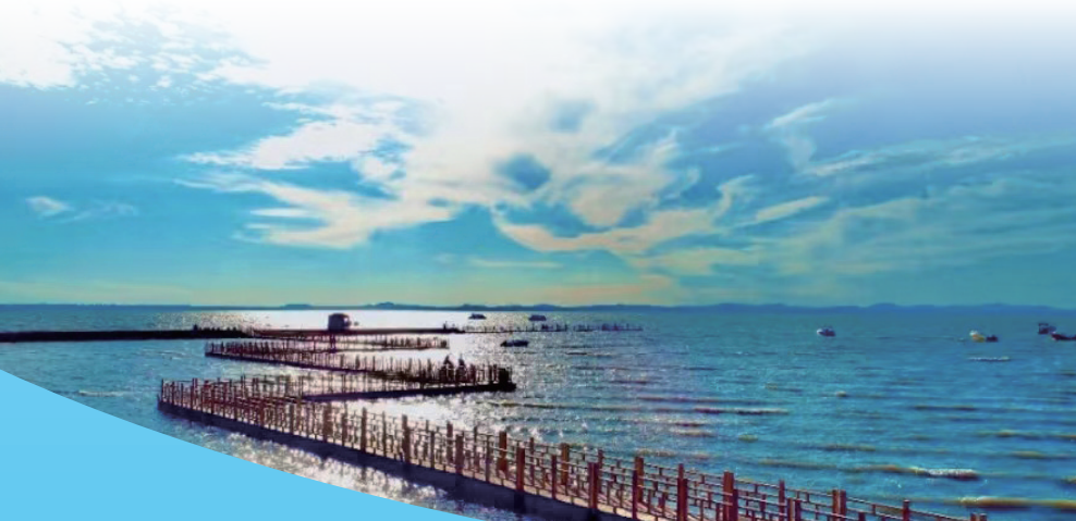 QQ20260227-110404.png QQ20260227-110404.png