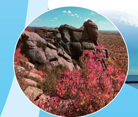 QQ20260227-110414.png QQ20260227-110414.png