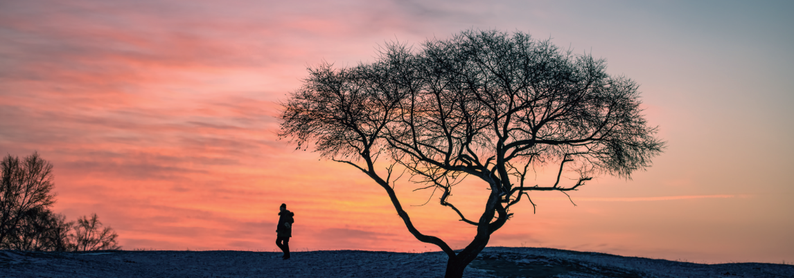 QQ20260304-110854.png QQ20260304-110854.png