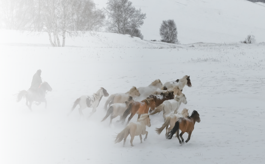 QQ20260304-110903.png QQ20260304-110903.png