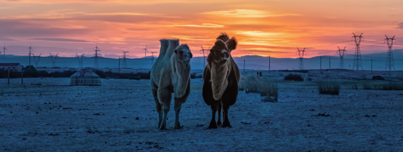 QQ20260304-110952.png QQ20260304-110952.png