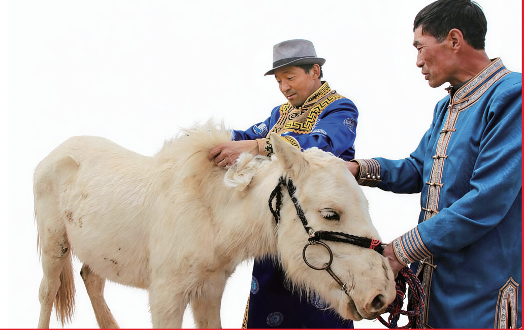 QQ20260304-163253.png QQ20260304-163253.png