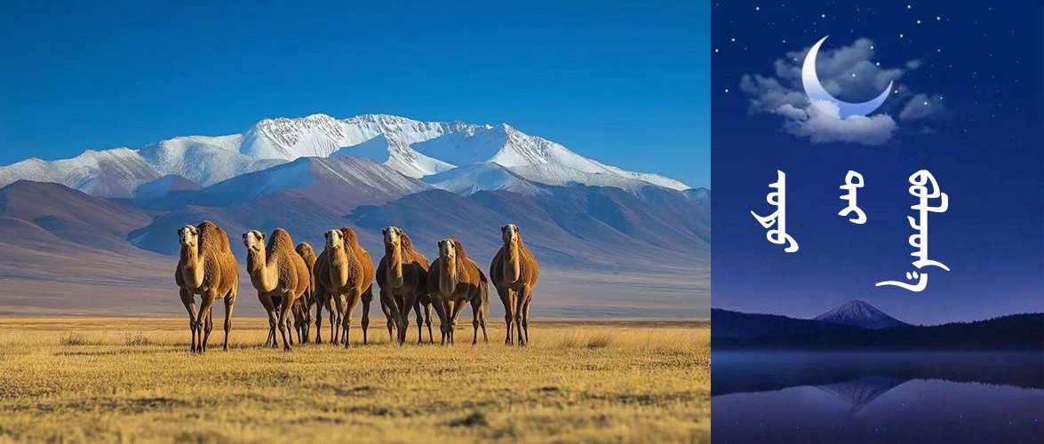 夜读 封面02.jpg 夜读 封面02.jpg