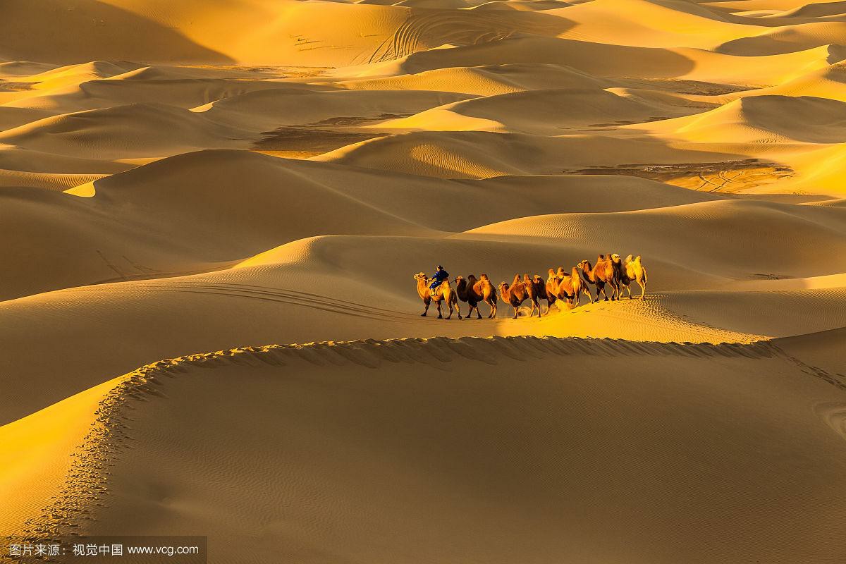 u=2733152768,652902786&fm=193.jpg u=2733152768,652902786&fm=193.jpg