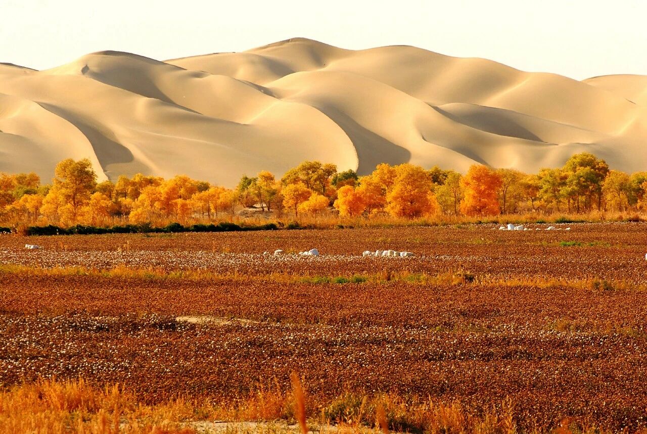 984ba27cd1e0e70cfbe462ae5a16e03c.jpg 984ba27cd1e0e70cfbe462ae5a16e03c.jpg