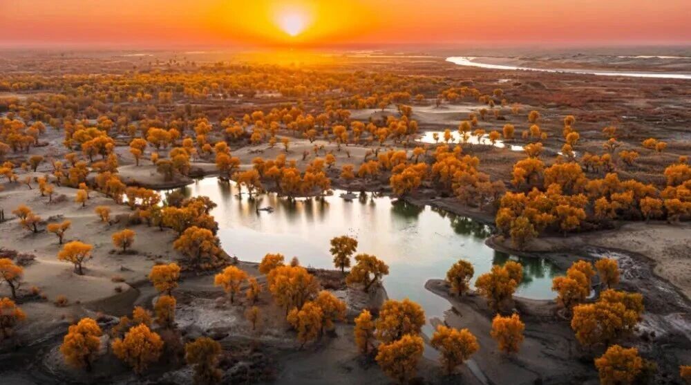 5821dee7a26487dfc199caf4c1c5d237.jpg 5821dee7a26487dfc199caf4c1c5d237.jpg