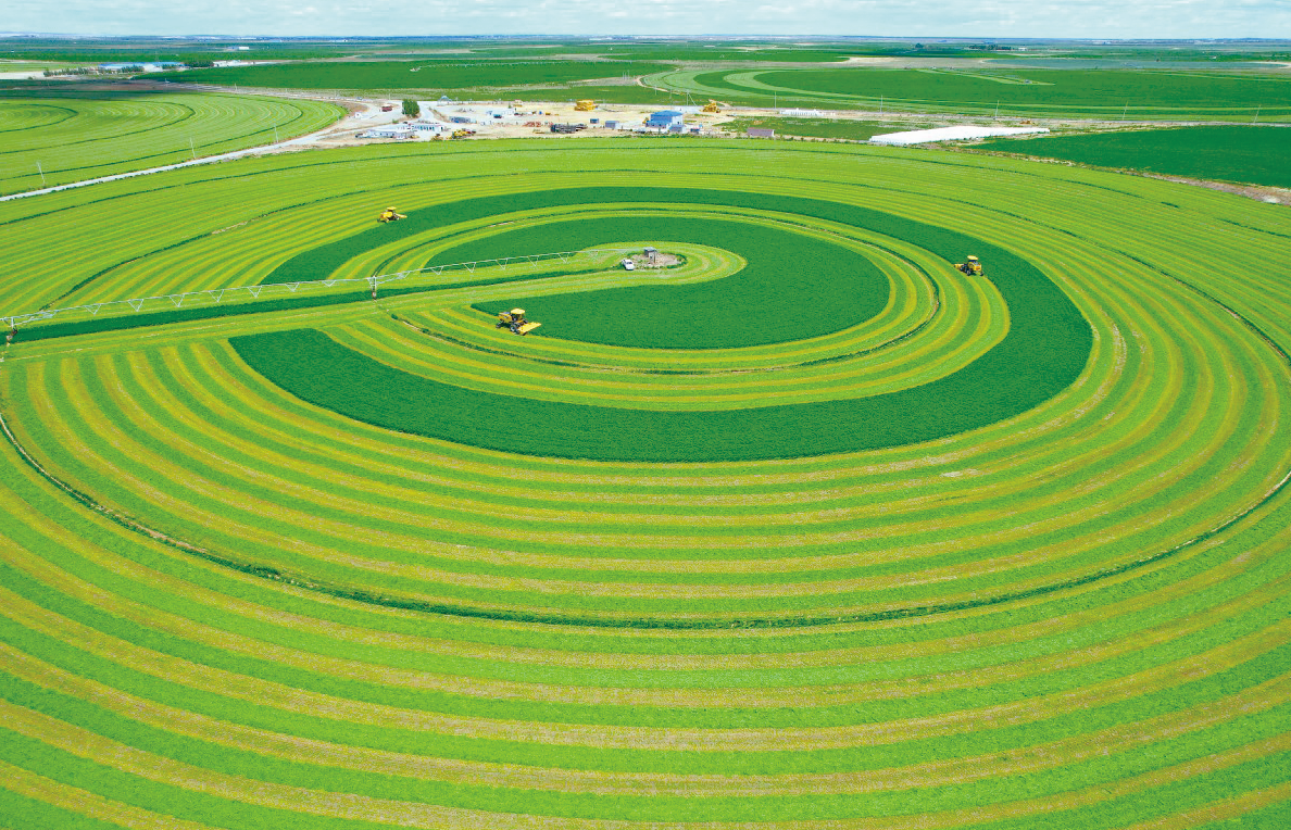 QQ截图20260207120745.png QQ截图20260207120745.png