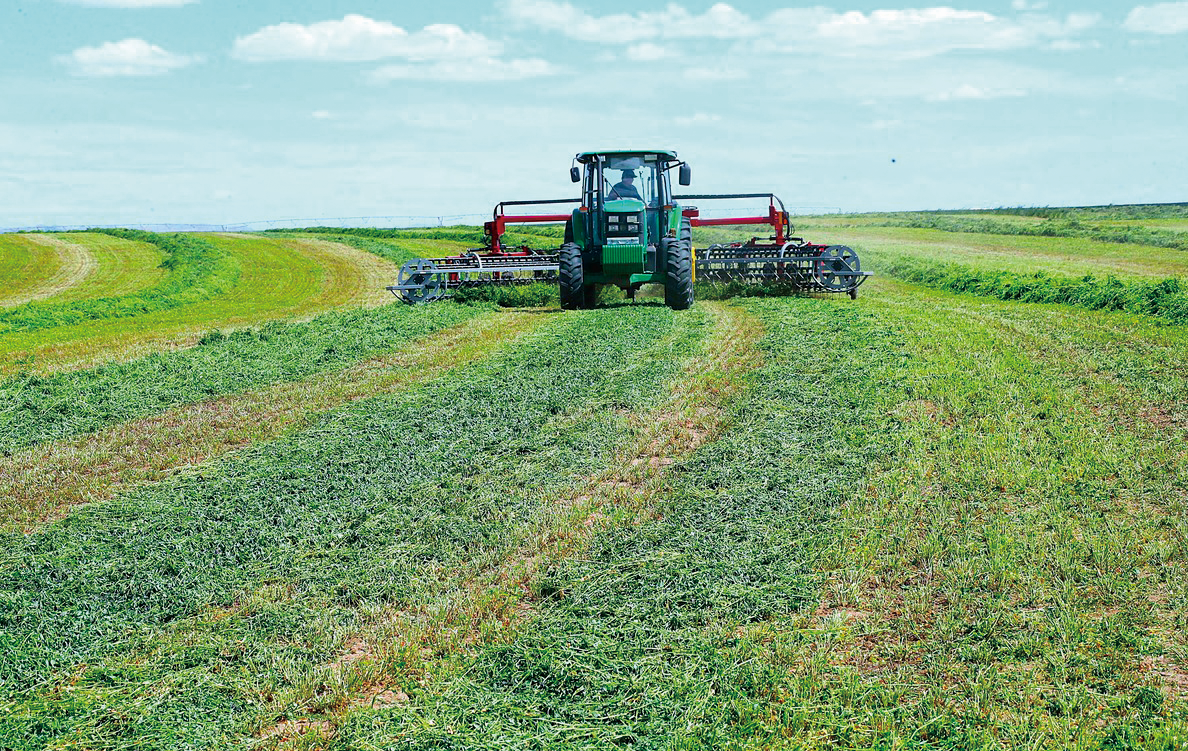 QQ截图20260306155758.png QQ截图20260306155758.png