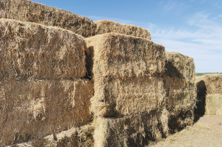 QQ截图20260209113408.png QQ截图20260209113408.png