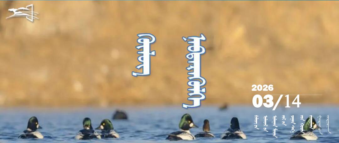 100010101010101010101010101010101010101333封面模板(1)0101.jpg 100010101010101010101010101010101010101333封面模板(1)0101.jpg