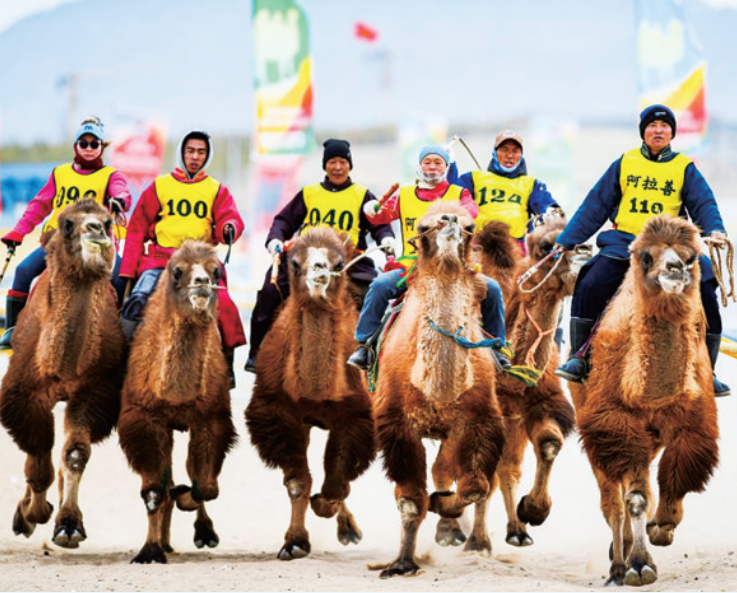 07881b80-5c03-4f7f-b0d7-490c528bbe42.png 07881b80-5c03-4f7f-b0d7-490c528bbe42.png