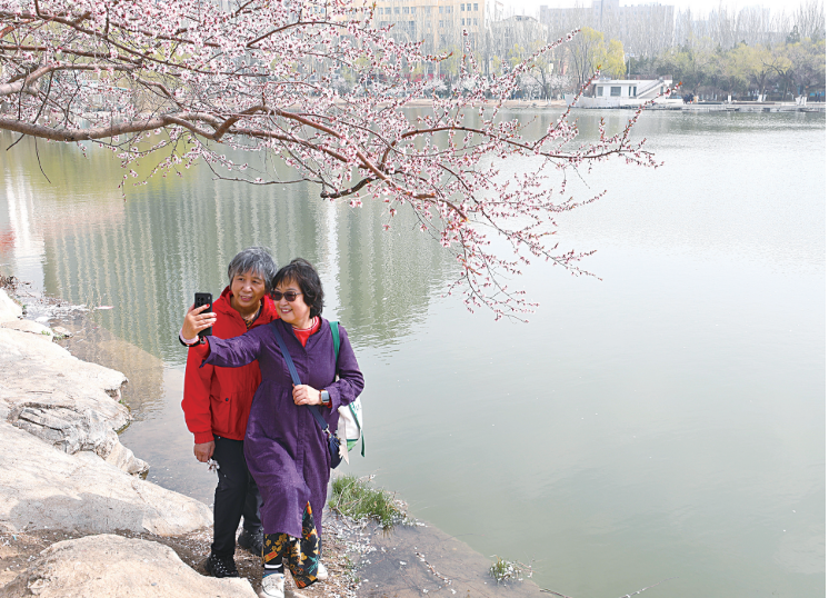 QQ20260415-102857.png