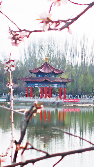 QQ截图20250224163936.png