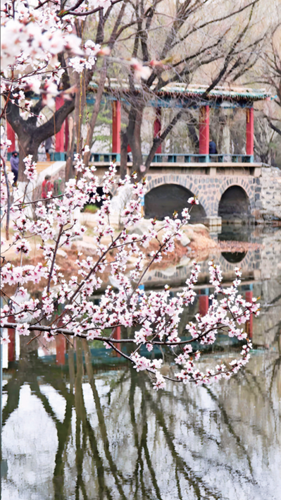 QQ截图20260415103050.png