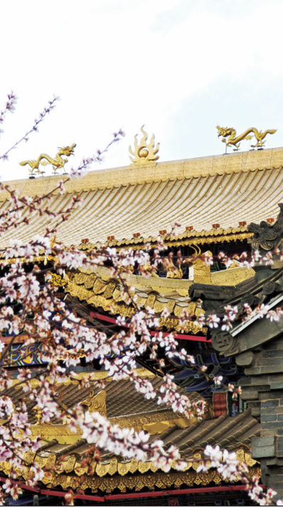 QQ截图20260415151813.png