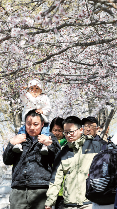 QQ截图20260415152014.png