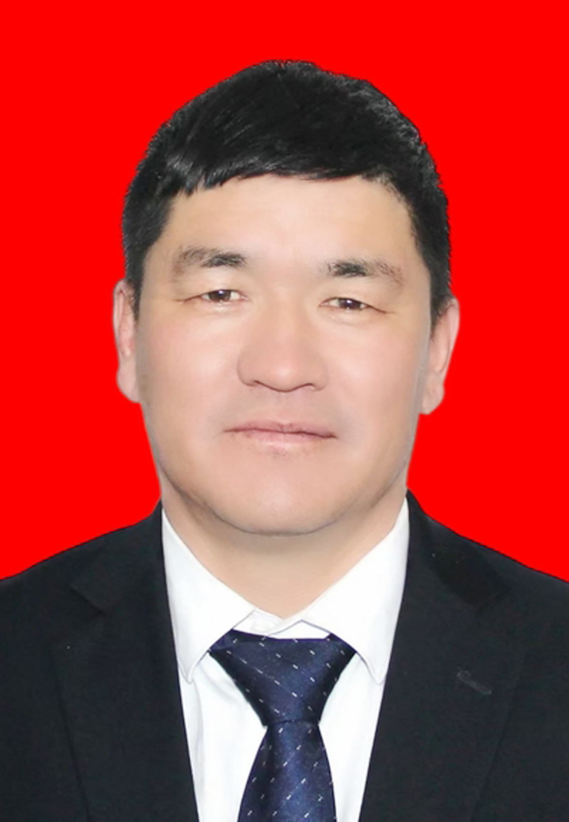 钢宝力达.jpg