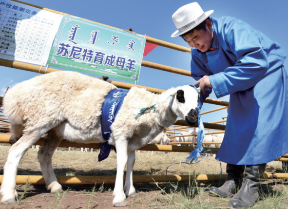 QQ20260612-154641.png