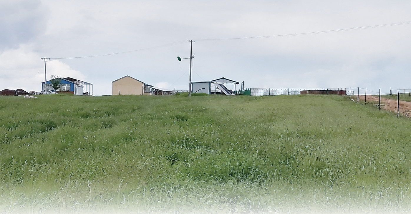 90a668c6-514e-4faa-aad7-c12b2afaf607.png