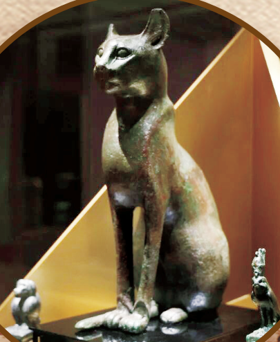 QQ20260624-111654.png