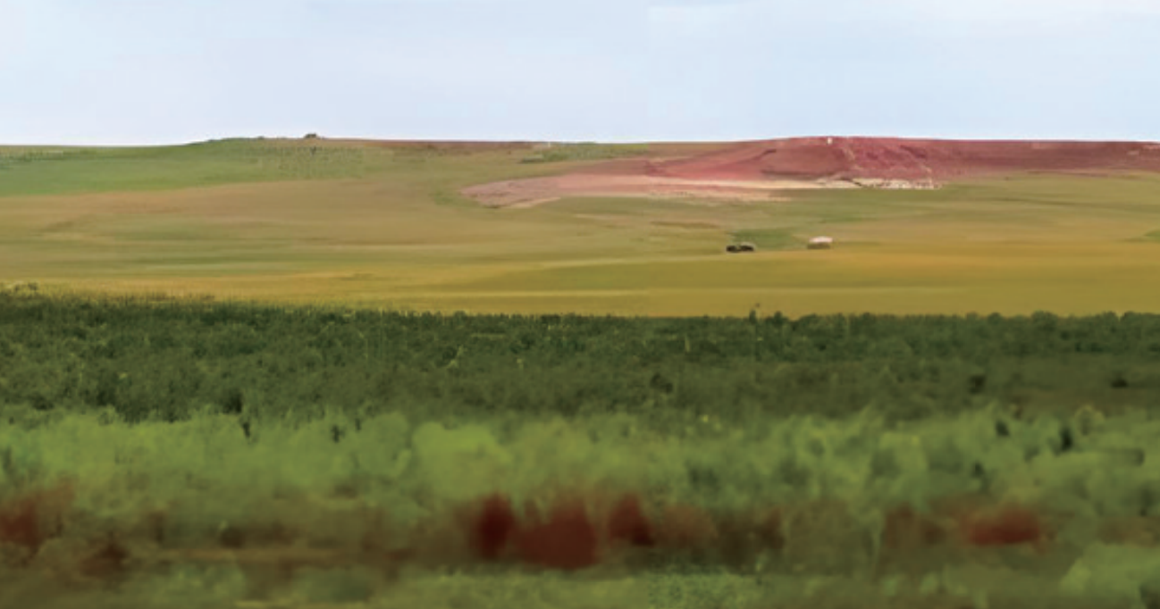 a7f333a6-b291-4a01-883f-cb646adc8fb6.png