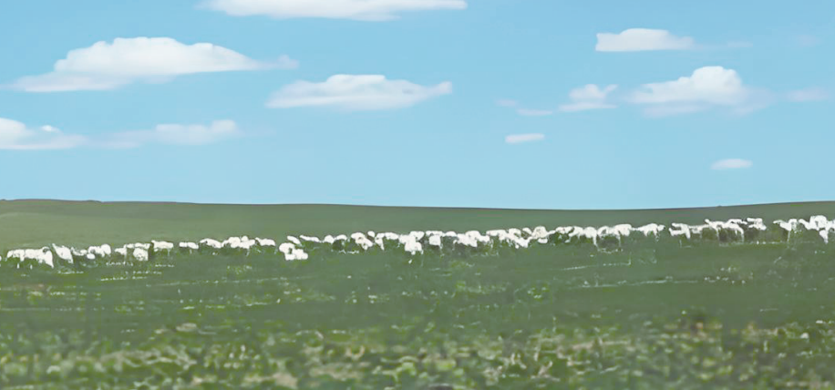 QQ20260814-164221.png